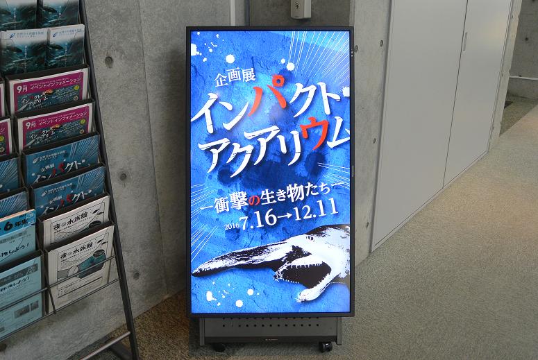岐阜県世界淡水魚園水族館 アクア・トト ぎふのレポート写真1（レッツなシニア）