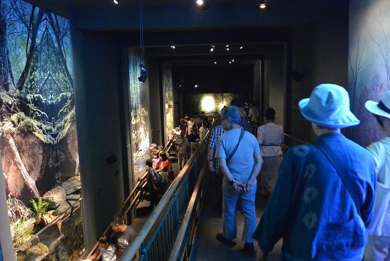 岐阜県世界淡水魚園水族館 アクア・トト ぎふのレポート写真3（レッツなシニア）