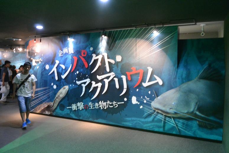 岐阜県世界淡水魚園水族館 アクア・トト ぎふのレポート写真4（レッツなシニア）