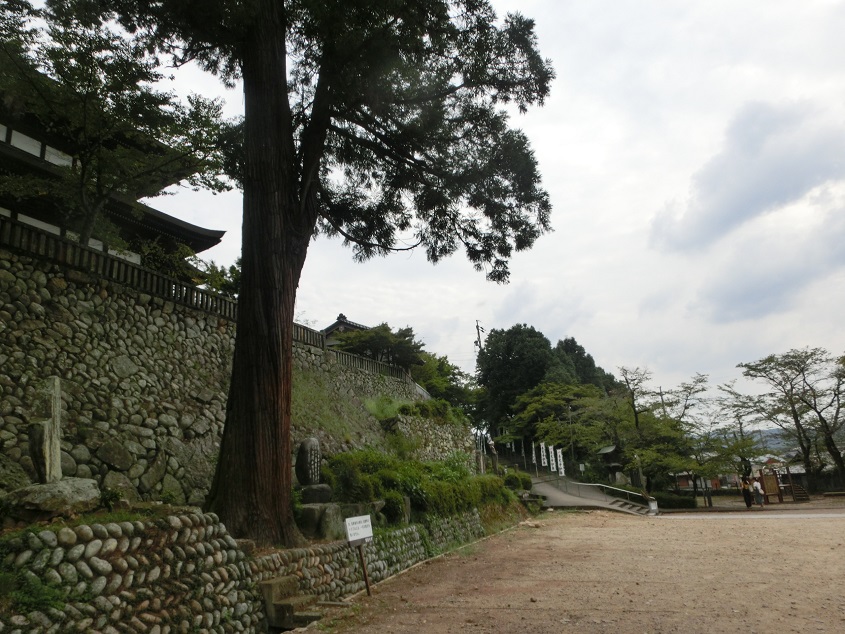 宗休寺(関善光寺) のレポート写真5（レッツなミドル）