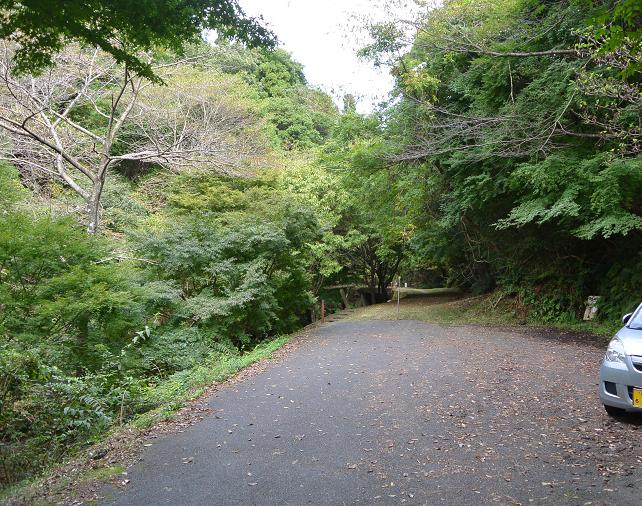 百々ヶ峰のレポート写真2（レッツなシニア）