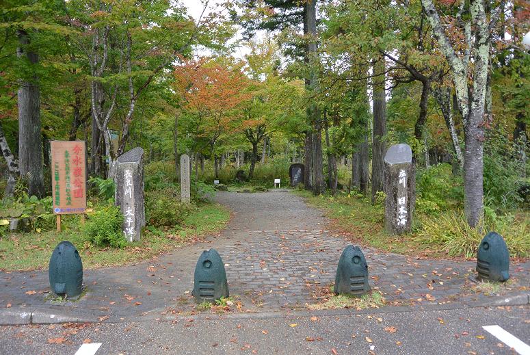 ひるがの分水嶺公園のレポート写真5（レッツなシニア）