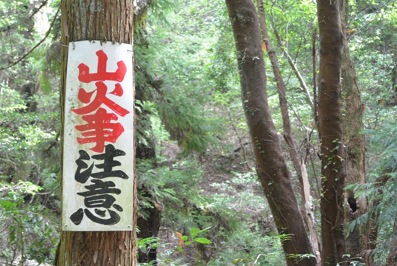 百々ヶ峰のレポート写真5（レッツなシニア）