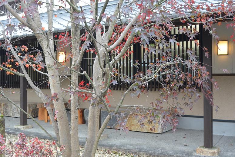 仁太郎  加子母本店のレポート写真1（レッツなシニア）
