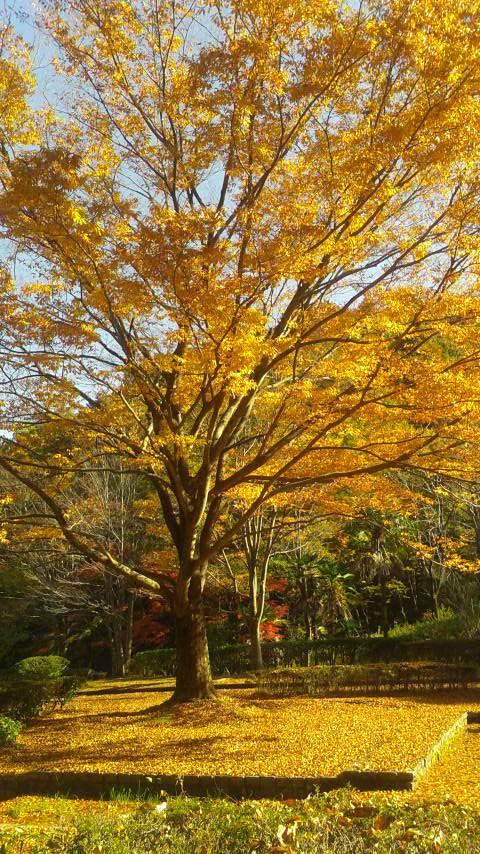 岐阜県百年公園のレポート写真1（ポニョ）