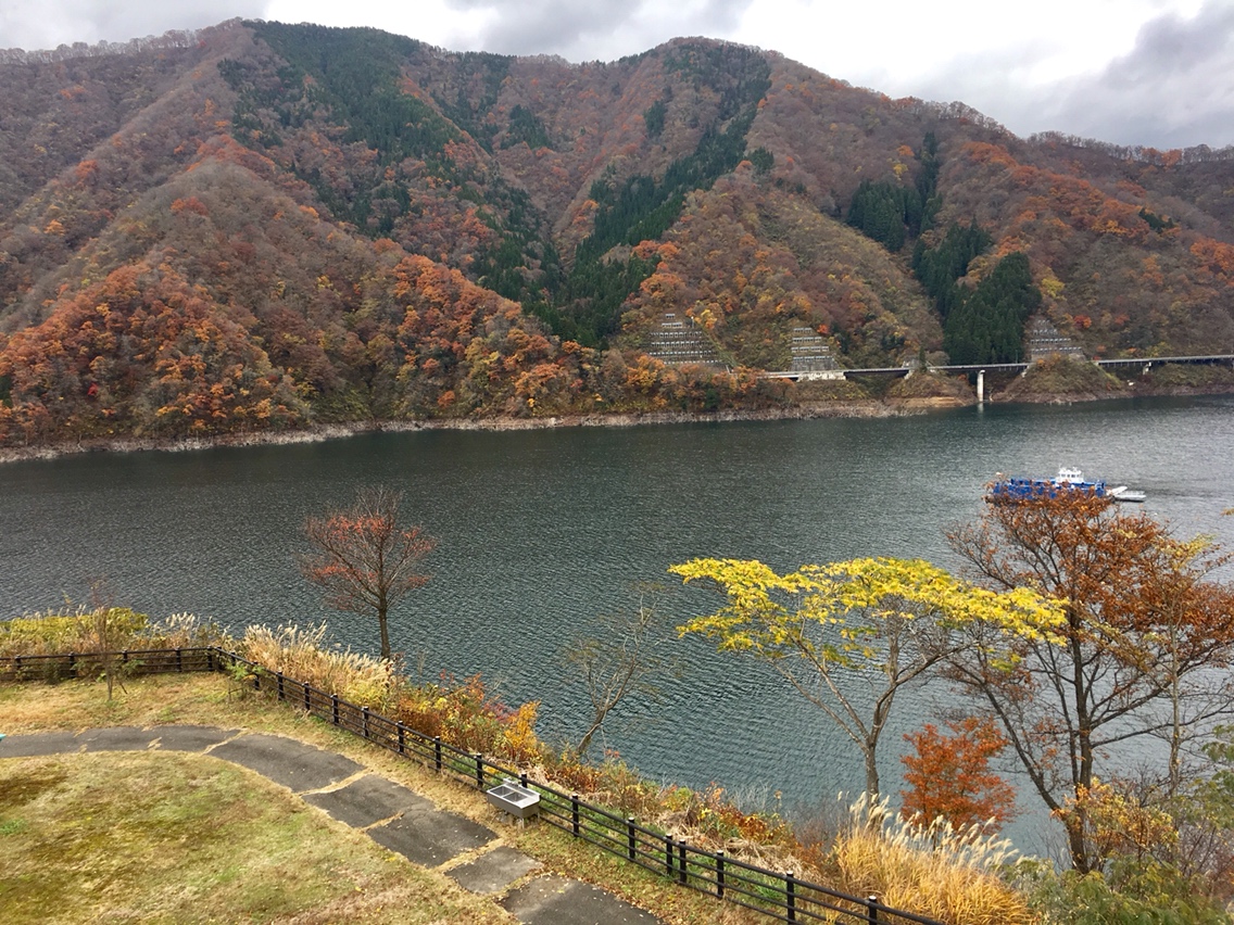徳山会館のレポート写真2（マロン）