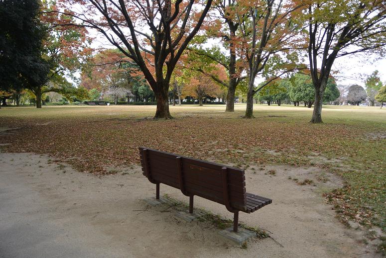 各務原市民公園のレポート写真3（レッツなシニア）