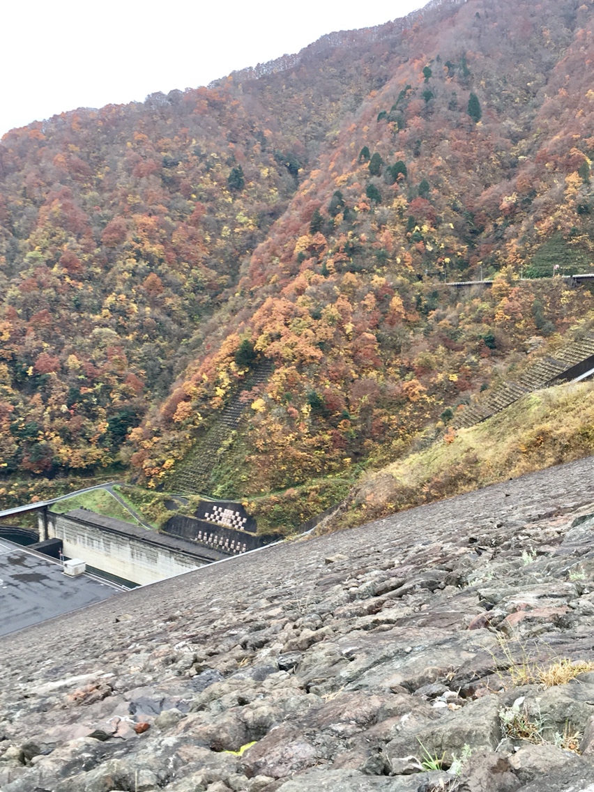 徳山ダムのレポート写真5（マロン）