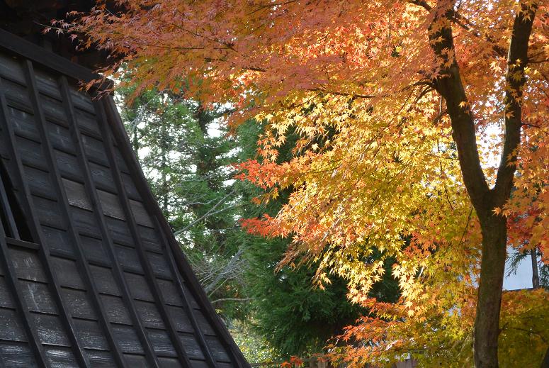 虎渓山 永保寺のレポート写真2（レッツなシニア）