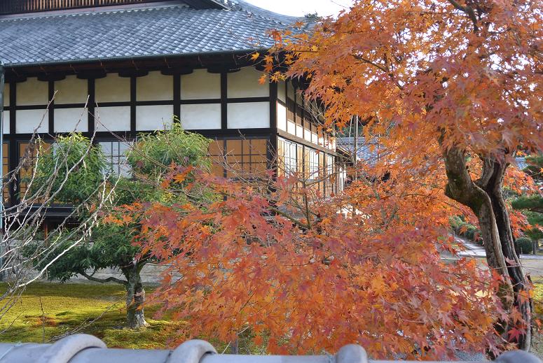 虎渓山 永保寺のレポート写真3（レッツなシニア）