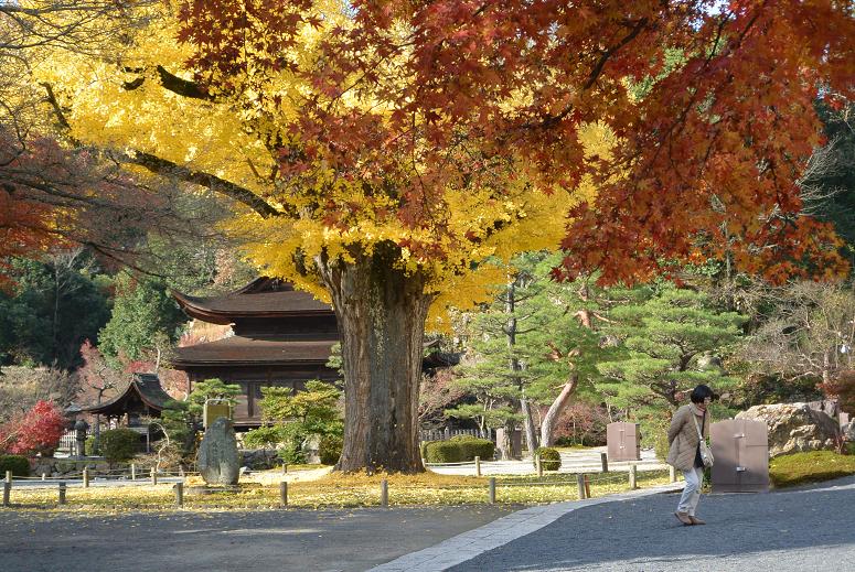 虎渓山 永保寺のレポート写真4（レッツなシニア）