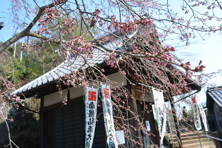 宗休寺(関善光寺) のレポート写真2（レッツなシニア）