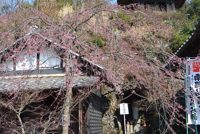 宗休寺(関善光寺) のレポート写真3（レッツなシニア）