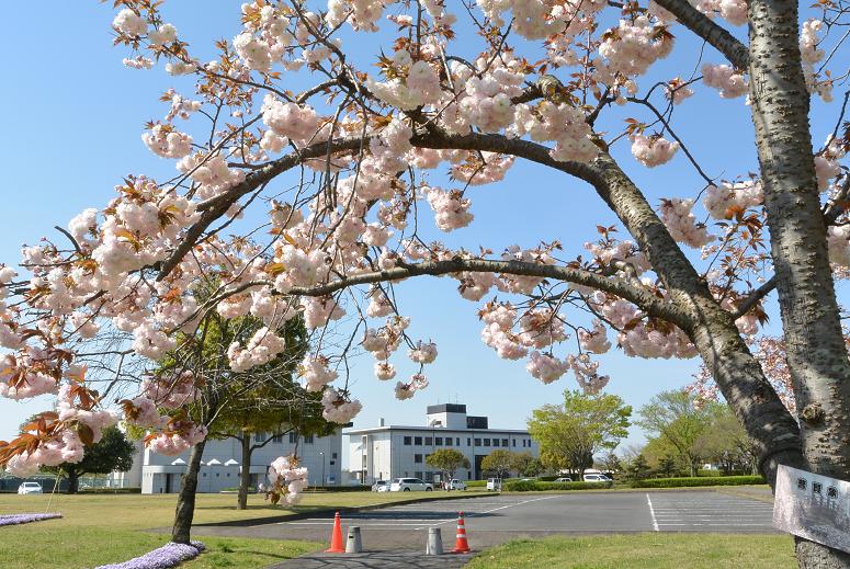 岐阜県各務原浄化センターのレポート写真1（レッツなシニア）
