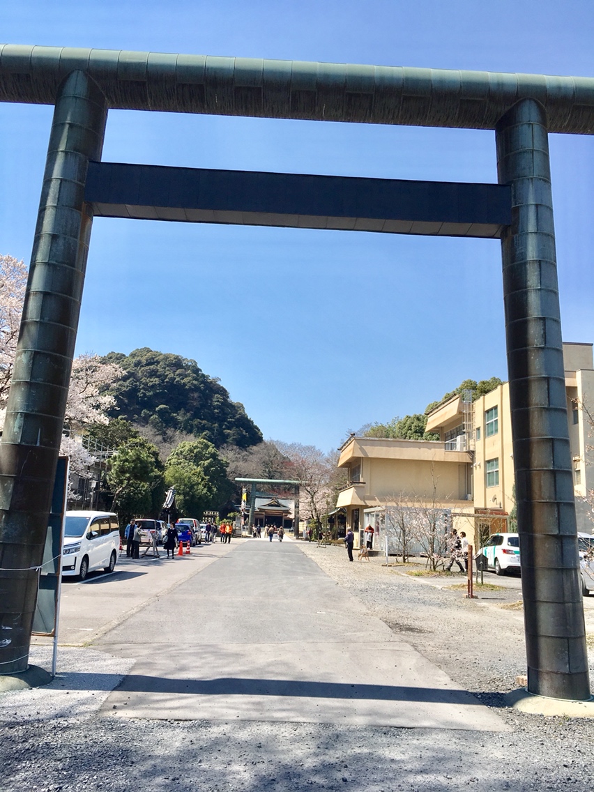 岐阜護國神社のレポート写真1（マロン）