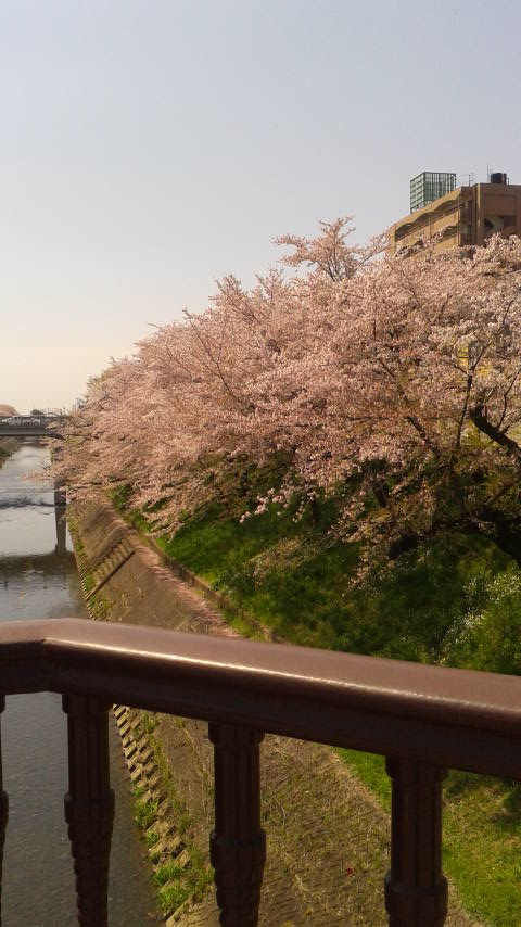 新境川のレポート写真1（ポニョ）