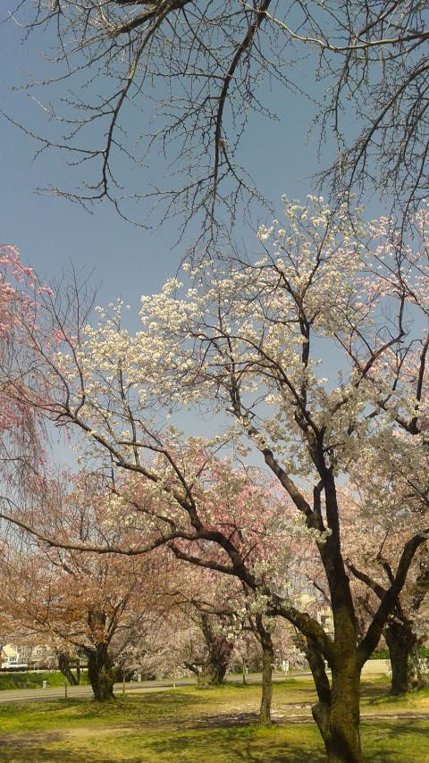 各務原市民公園のレポート写真1（ポニョ）