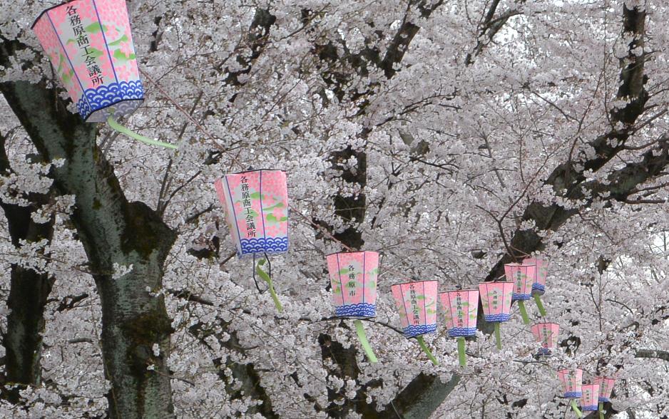 新境川のレポート写真2（レッツなシニア）