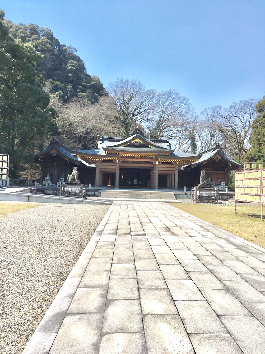 岐阜護國神社のレポート写真2（マロン）