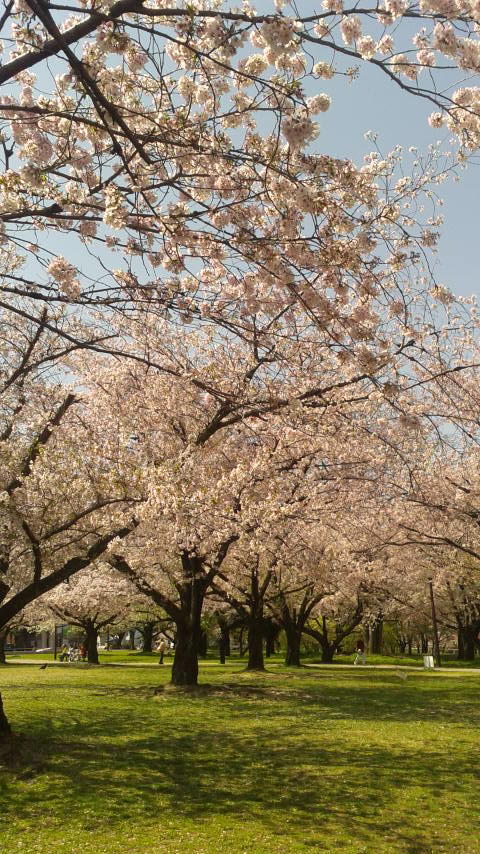 各務原市民公園のレポート写真2（ポニョ）