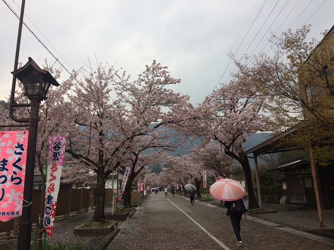 谷汲山 華厳寺のレポート写真2（ラッキールーラーじゃん）