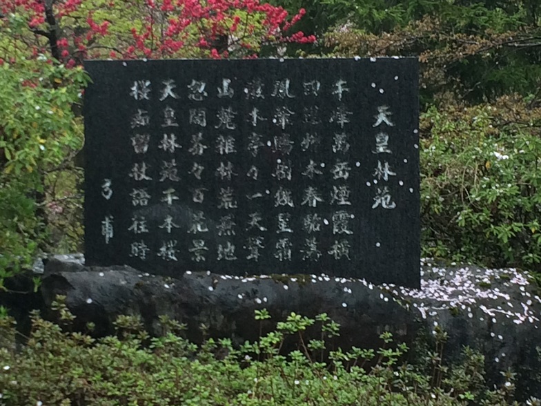 天皇林公園のレポート写真2（ラッキールーラーじゃん）