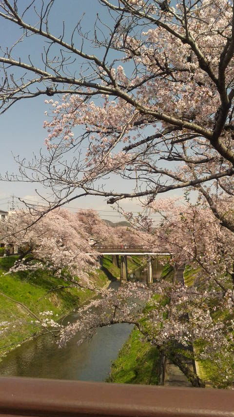 新境川のレポート写真3（ポニョ）