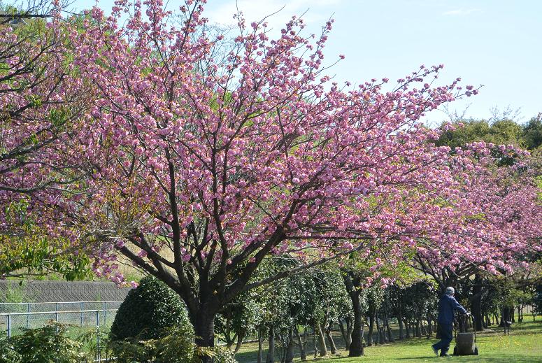 岐阜県各務原浄化センターのレポート写真4（レッツなシニア）