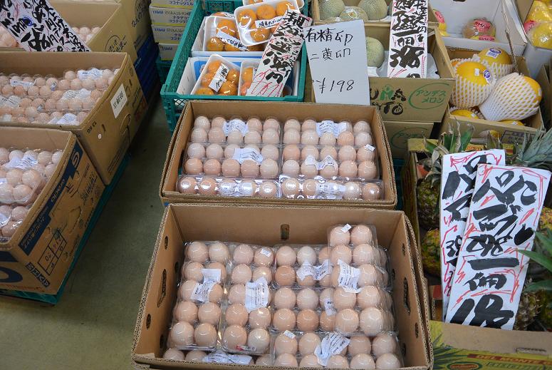 後藤食品のレポート写真2（レッツなシニア）
