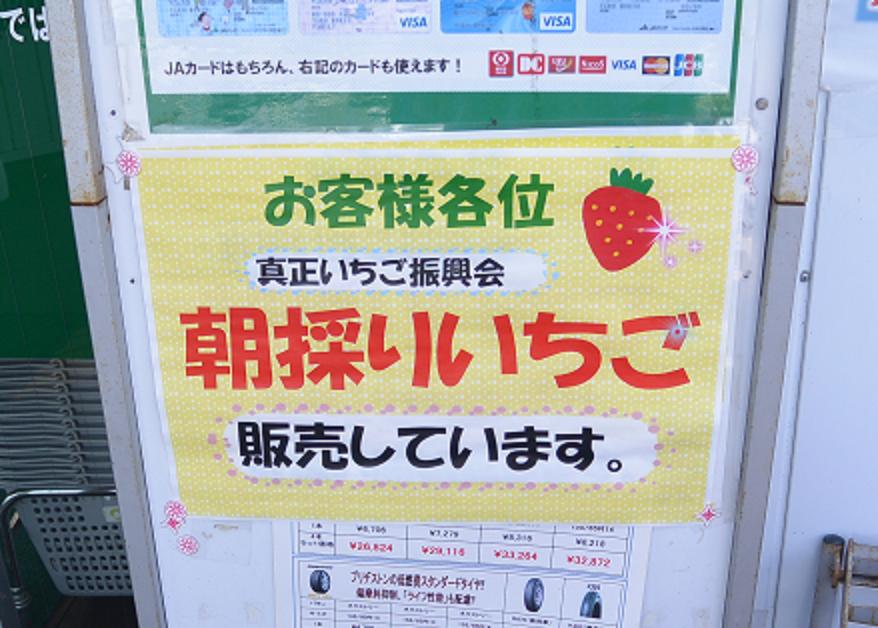 JAぎふ おんさい広場真正のレポート写真2（レッツなシニア）