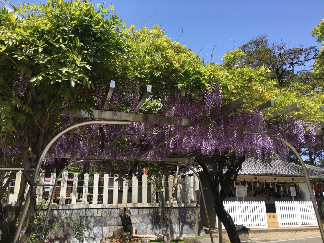 御首神社のレポート写真3（マロン）