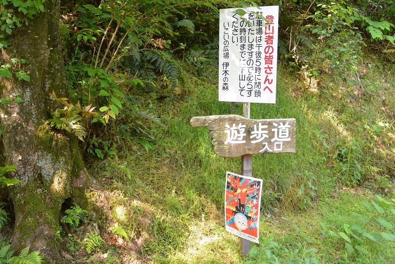 伊木山のレポート写真4（レッツなシニア）