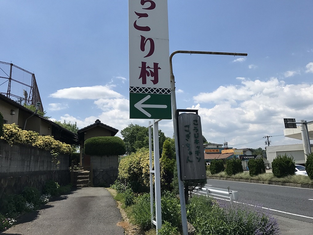 こうじキッチン こぎちゃんのレポート写真5（瀬戸の人）