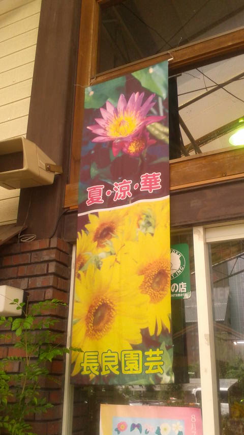 長良園芸のレポート写真2（ポニョ）