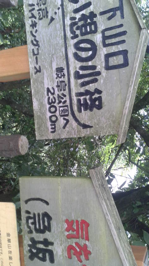 めい想の小径(登山道)のレポート写真3（ポニョ）