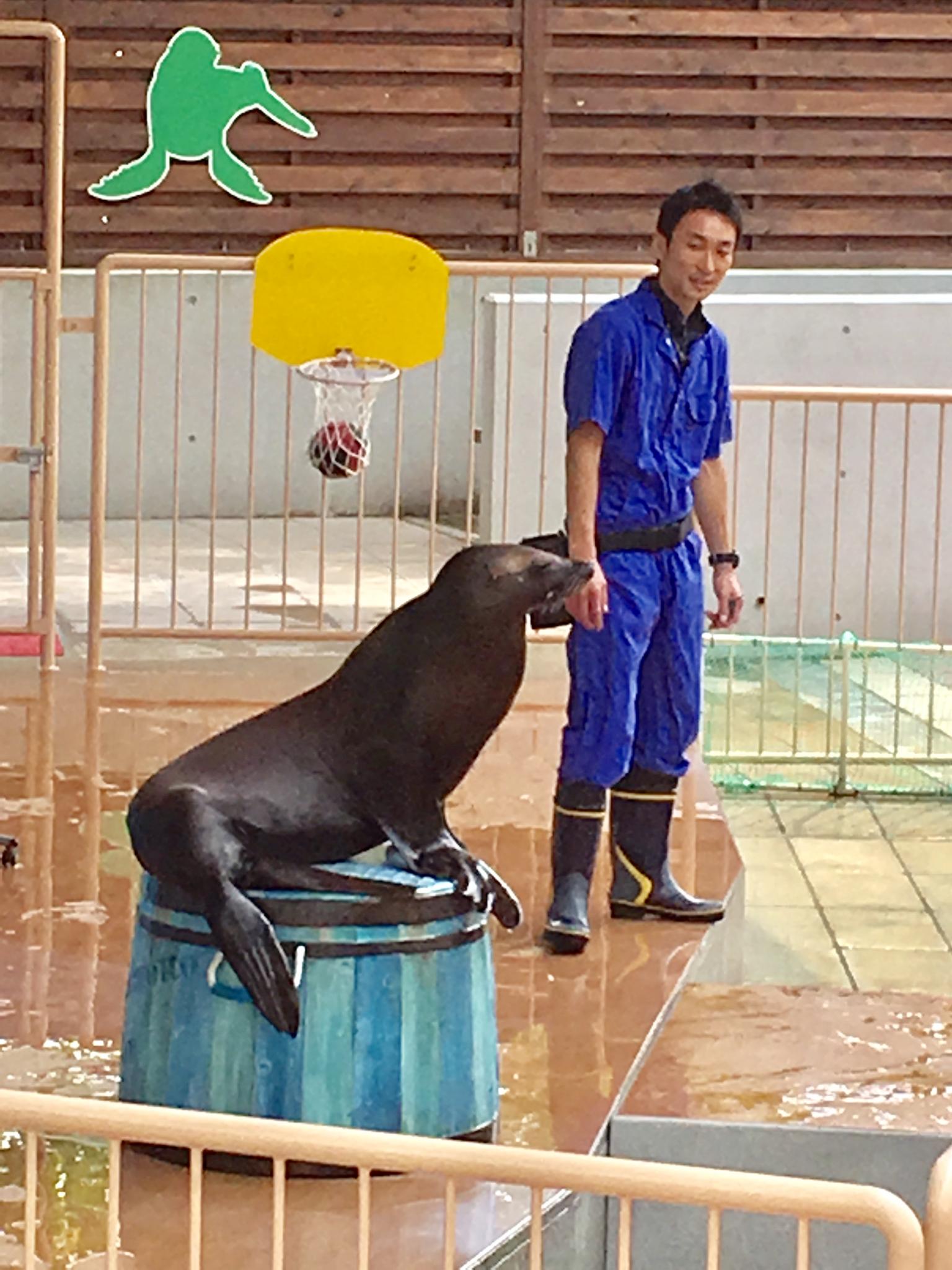 岐阜県世界淡水魚園水族館 アクア・トト ぎふのレポート写真1（マロン）