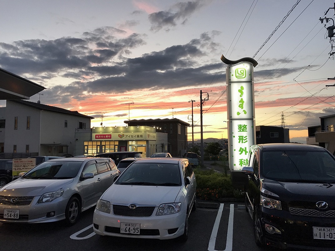うすい整形外科のレポート写真2（瀬戸の人）