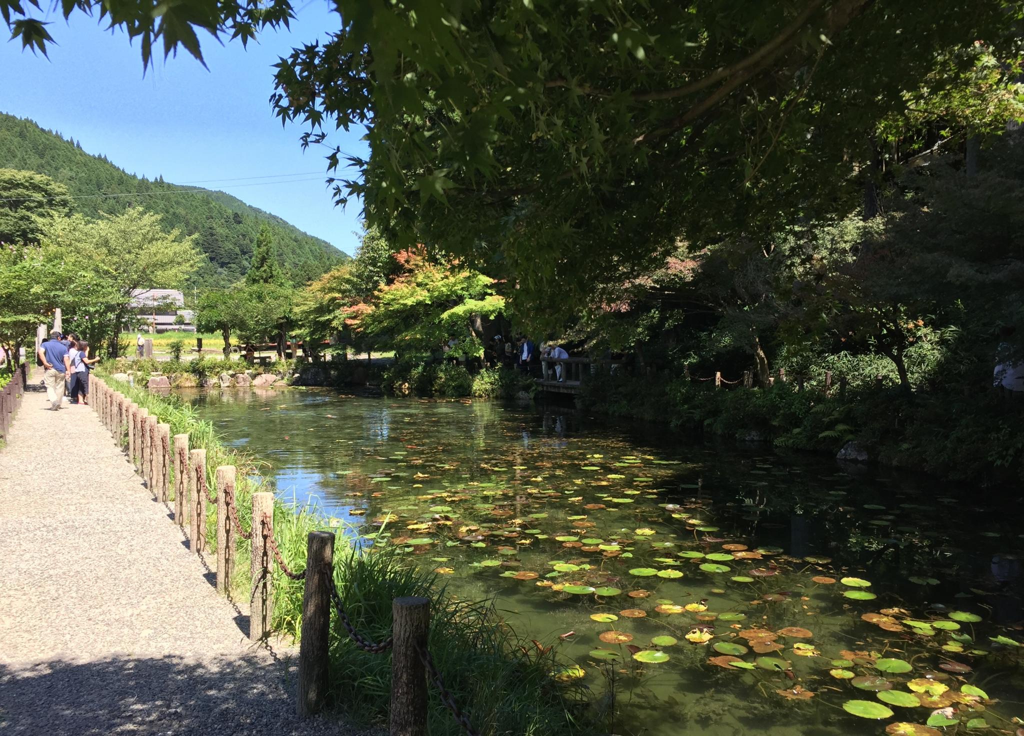 根道神社のレポート写真3（結衣）