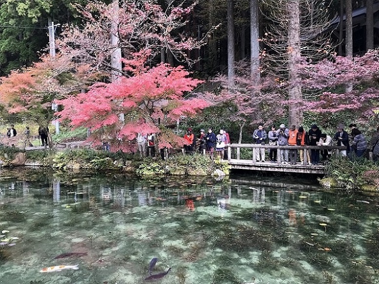 根道神社のレポート写真1（瀬戸の人）