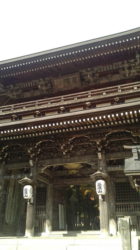谷汲山 華厳寺のレポート写真1（ポニョ）