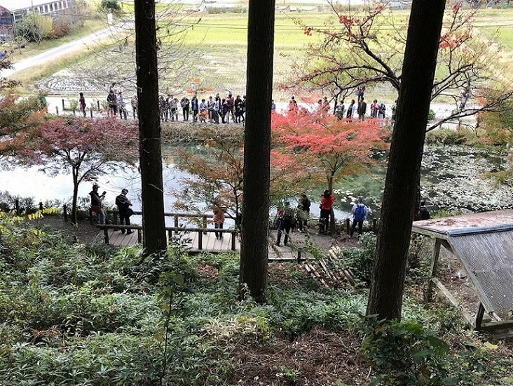 根道神社のレポート写真4（瀬戸の人）