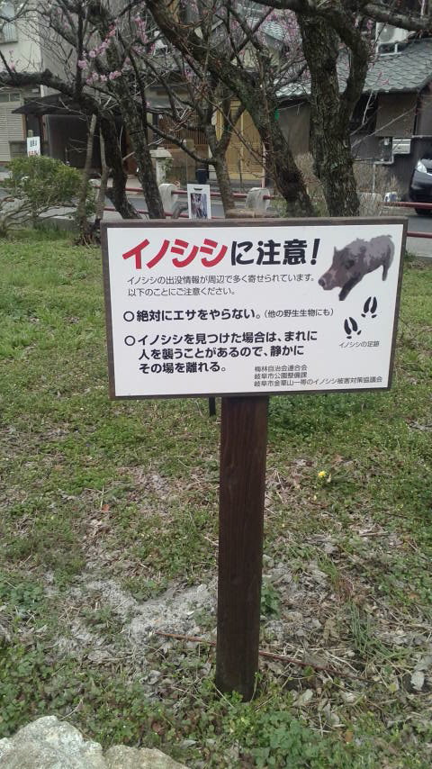 梅林公園のレポート写真4（ポニョ）