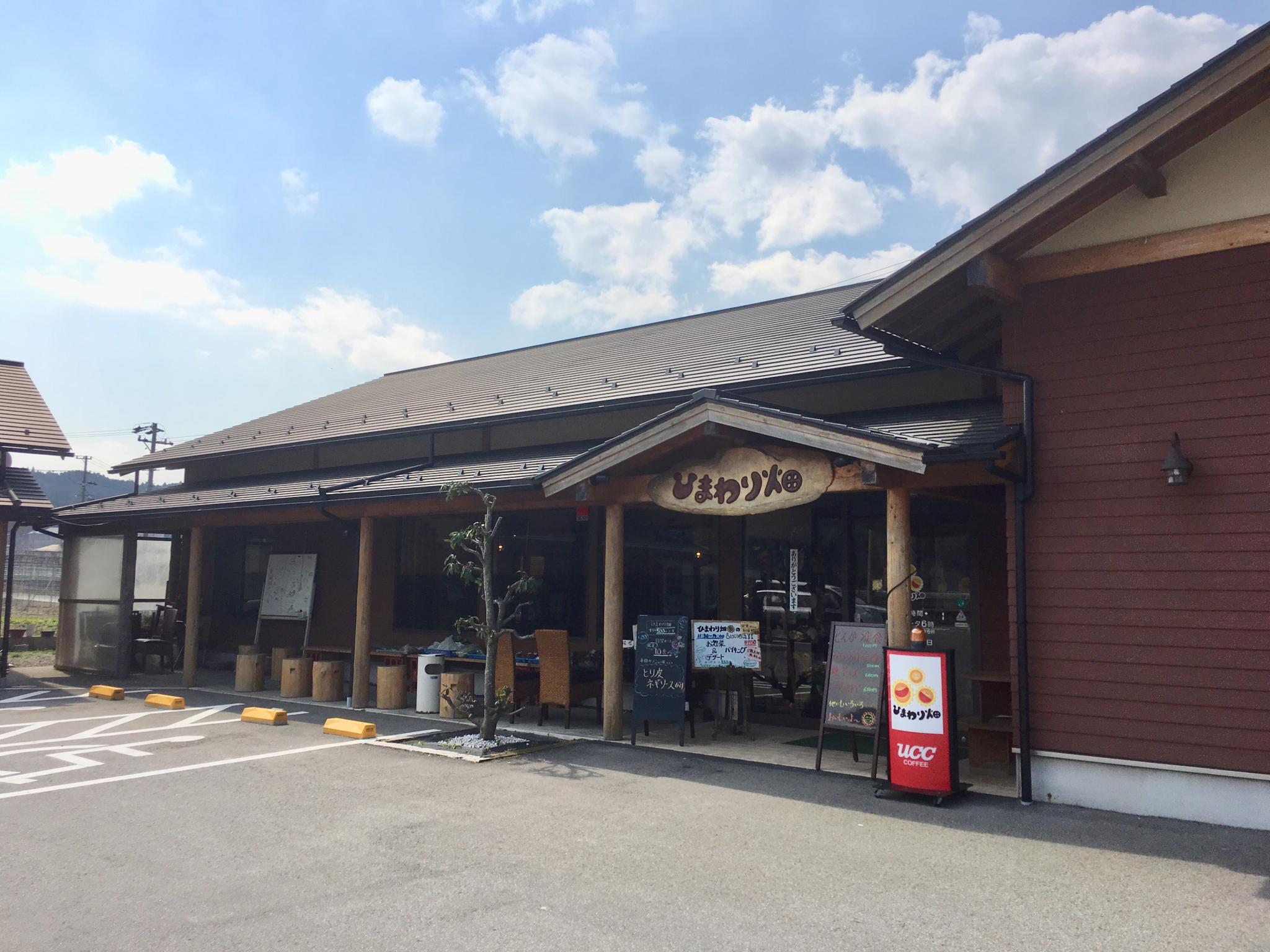 ひまわり畑のレポート写真5（マロン）