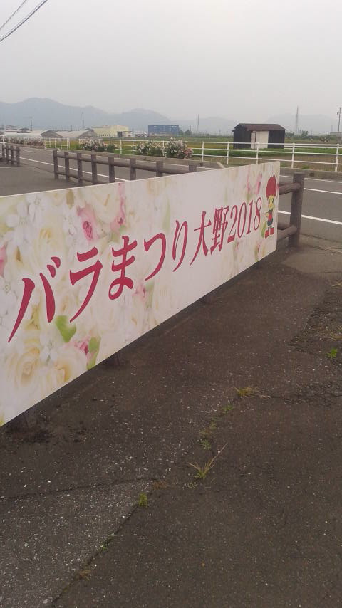 大野町バラ公園のレポート写真5（ポニョ）
