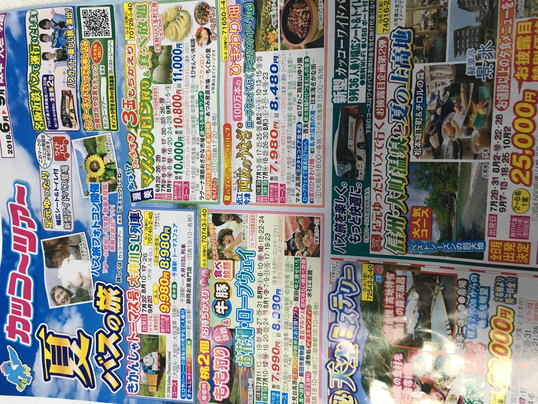 名阪近鉄旅行(株) 西岐阜旅行センターのレポート写真1（岐阜の食いしん坊担当）