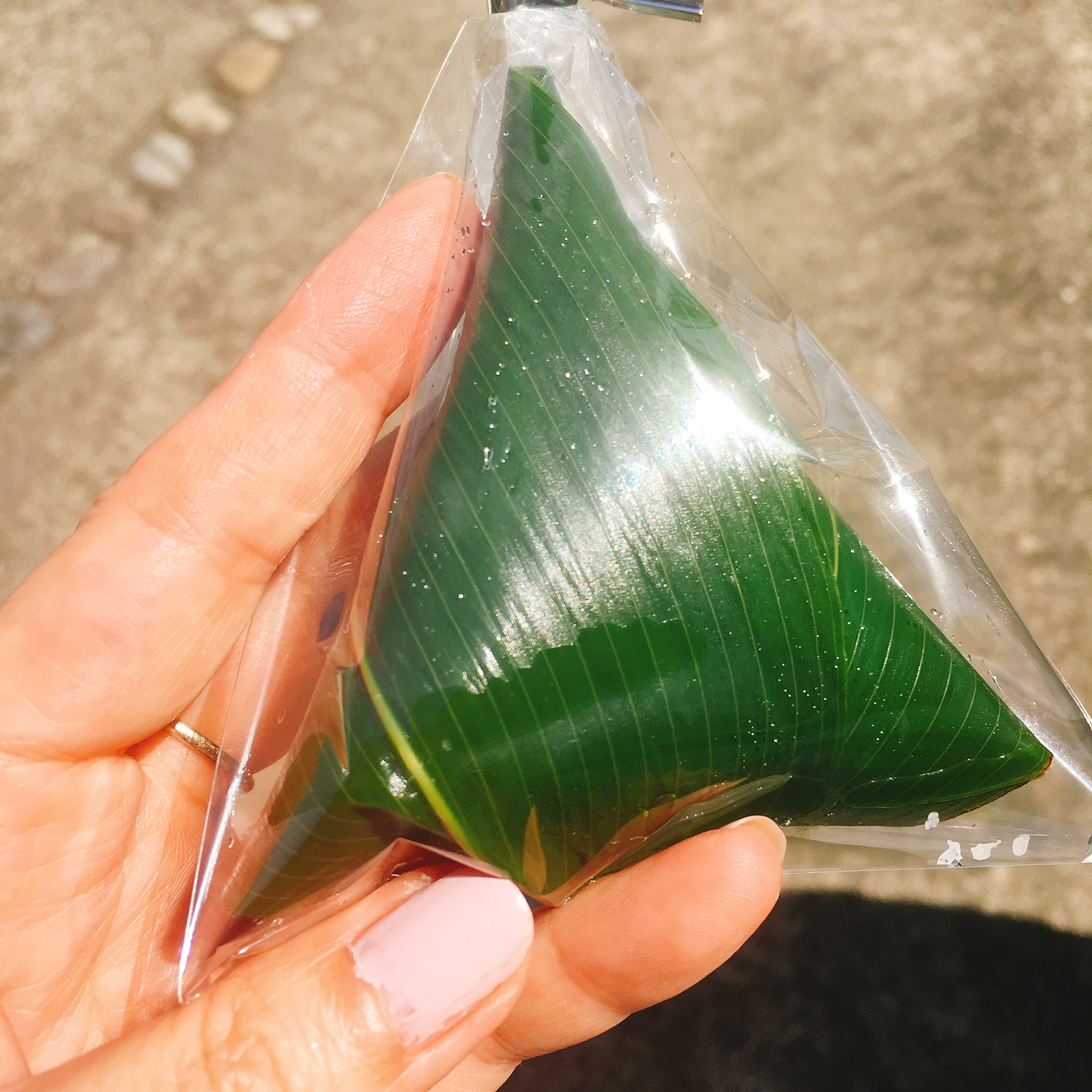 川原町泉屋のレポート写真2（岐阜の食いしん坊担当）