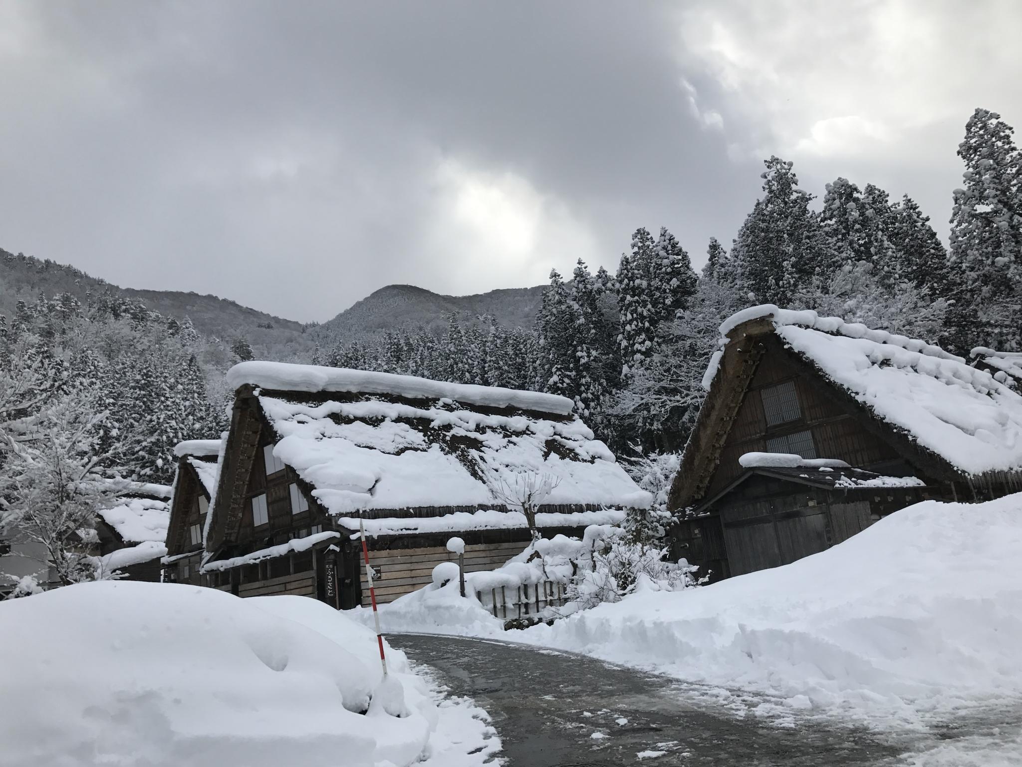 白川郷のレポート写真1（まなみ）