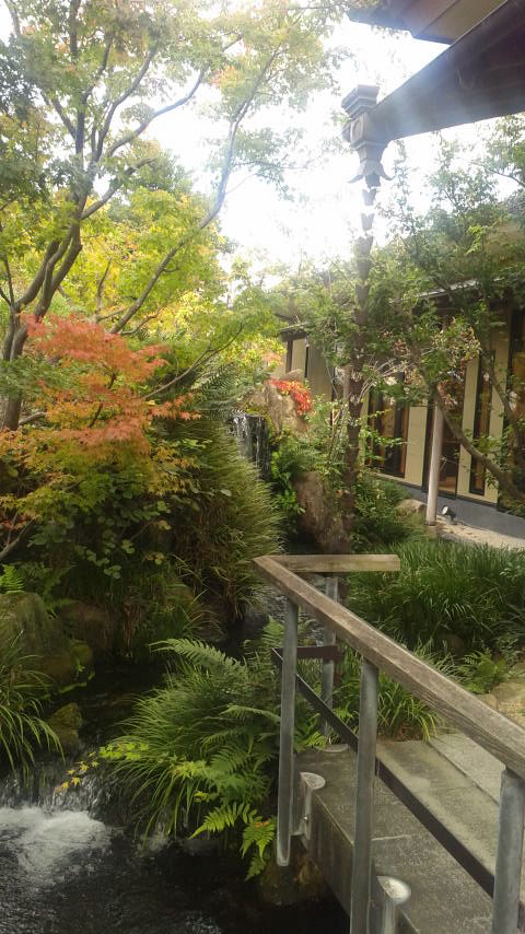 梅の花 岐阜店のレポート写真4（ポニョ）
