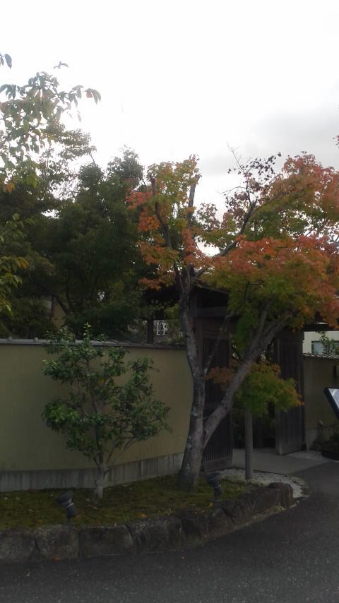 梅の花 岐阜店のレポート写真5（ポニョ）