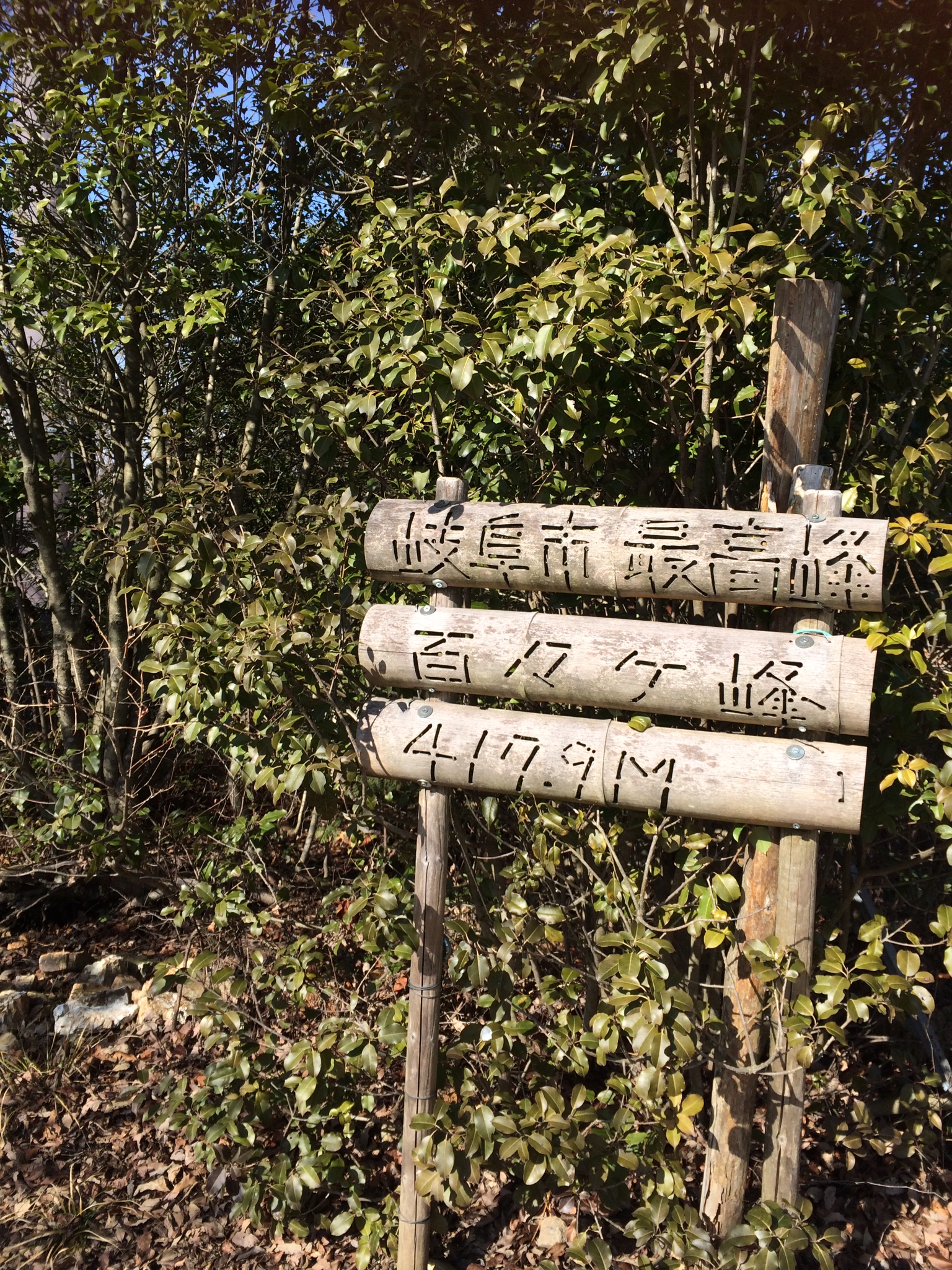 百々ヶ峰のレポート写真1（まなみ）